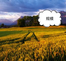 科技賦能農(nóng)業(yè)，智慧引領電商——為農(nóng)產(chǎn)品電商領域中的農(nóng)業(yè)技術(shù)研究者點贊